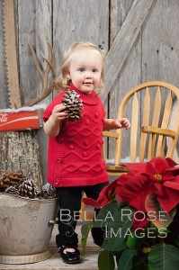 Old Country Winter Photography Set