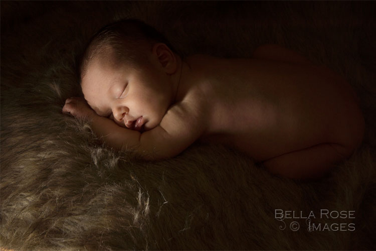 Free Newborn Photography Springfield, MO